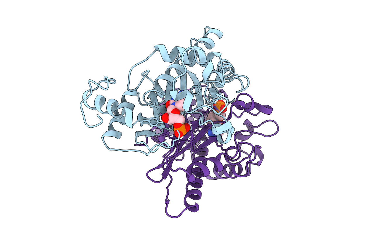 1B5D image