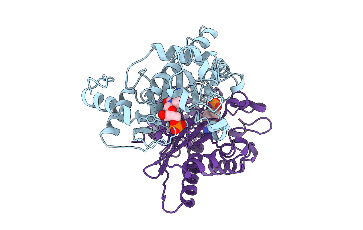 1B5E image