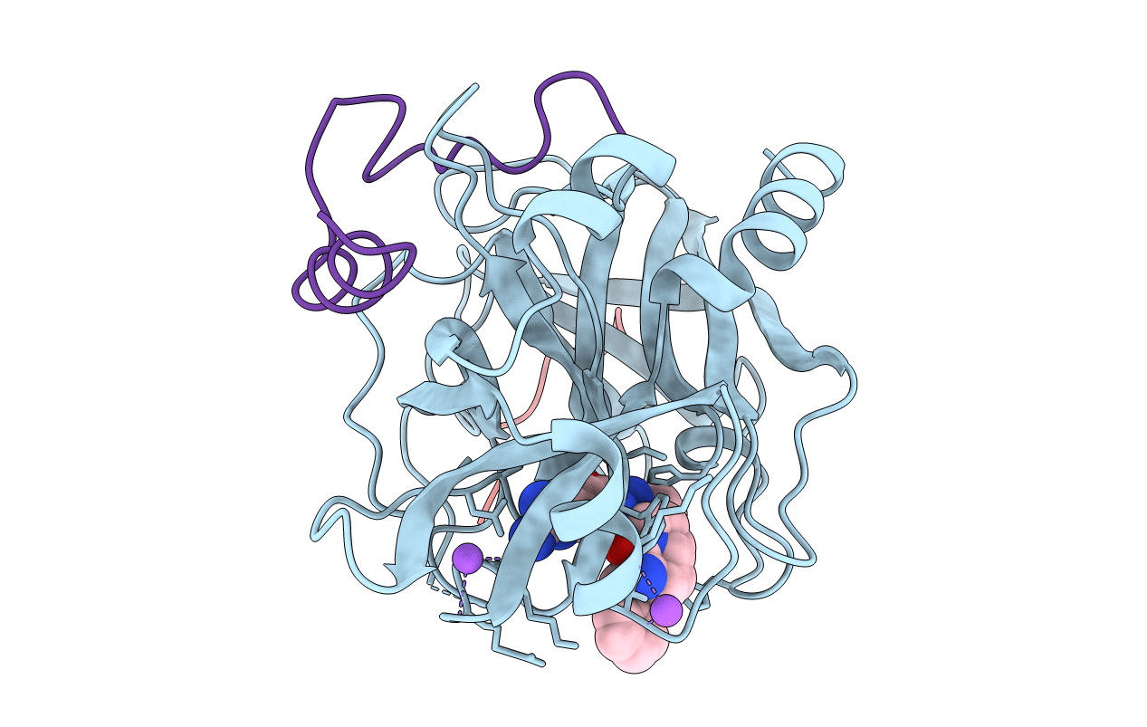 1B5G image
