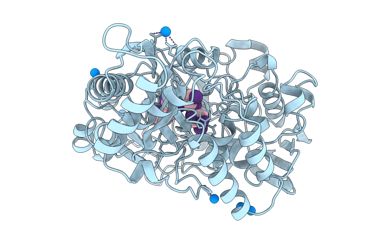 1B5H image