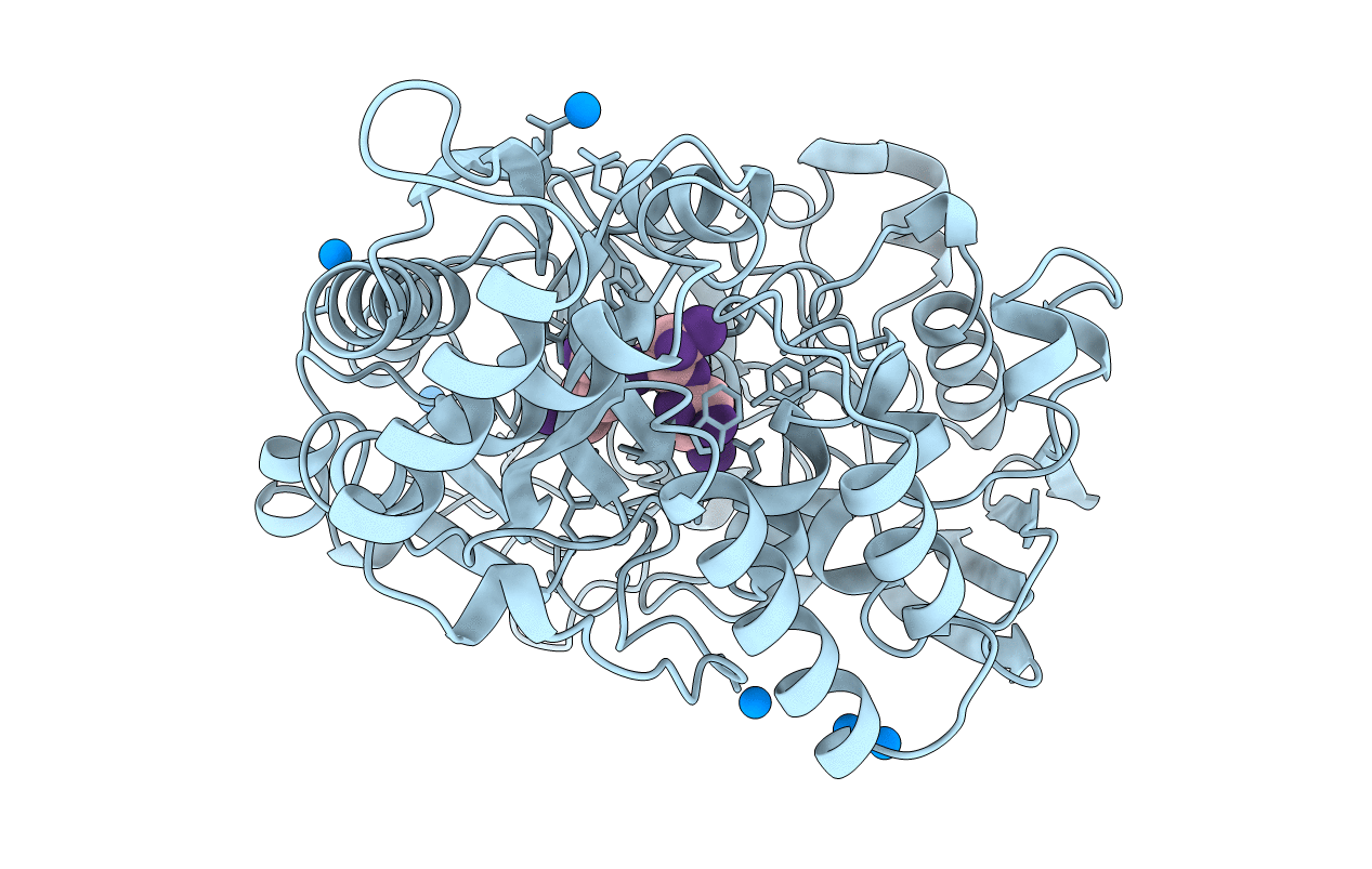 1B5I image