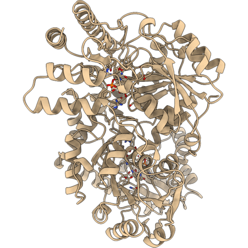 1B5O image