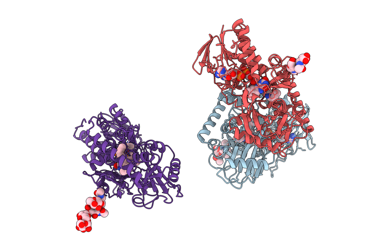 1B5Q image