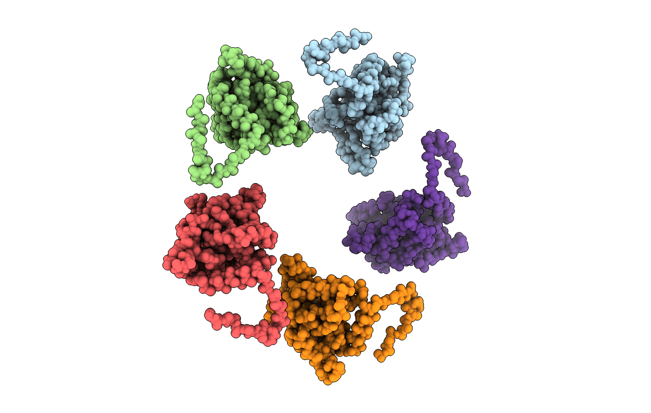 1B5S image