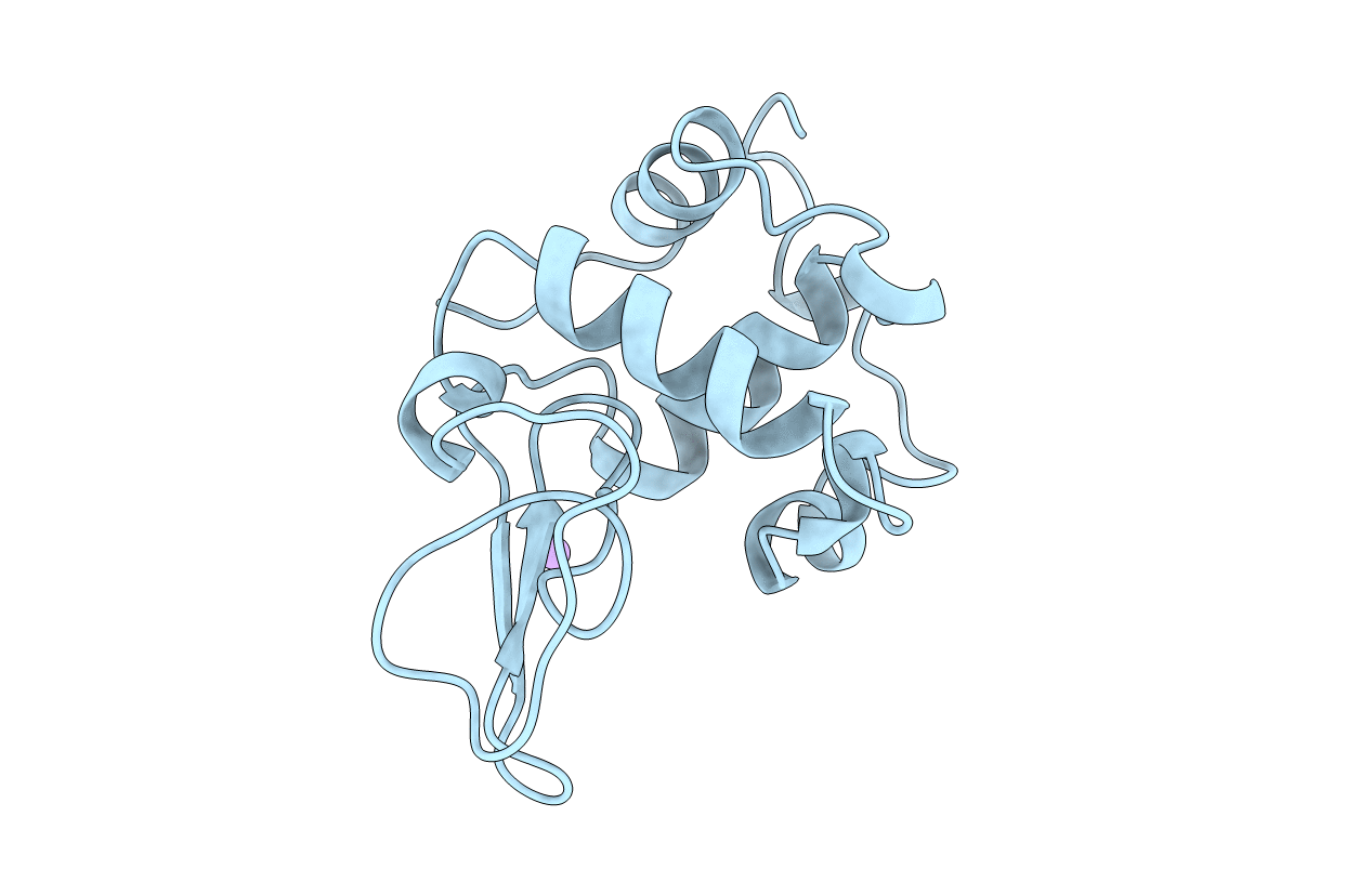 1B5X image