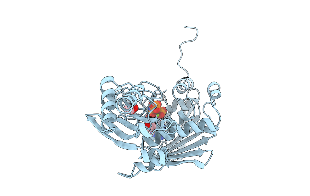 1b63 image