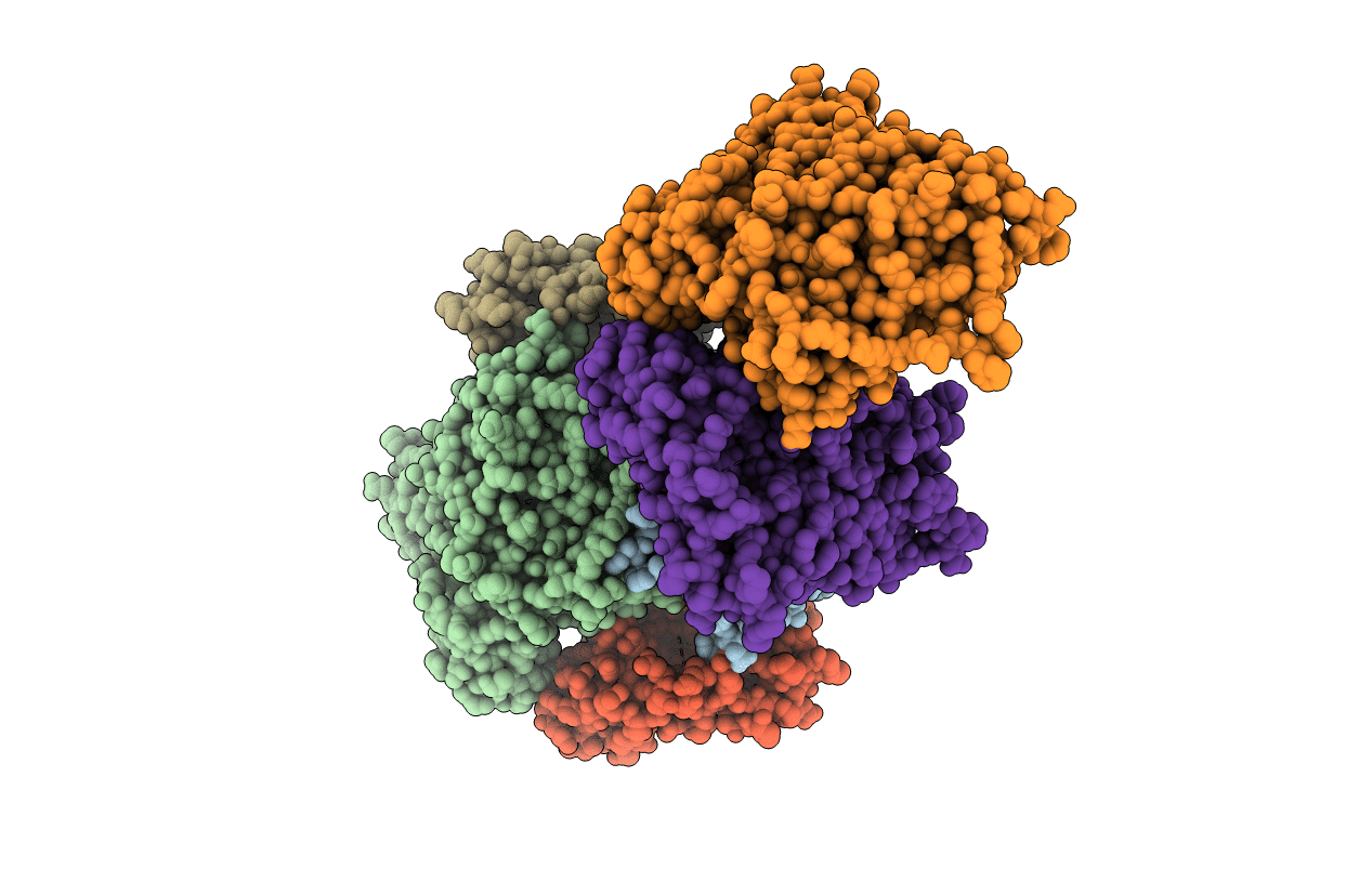 1B65 image