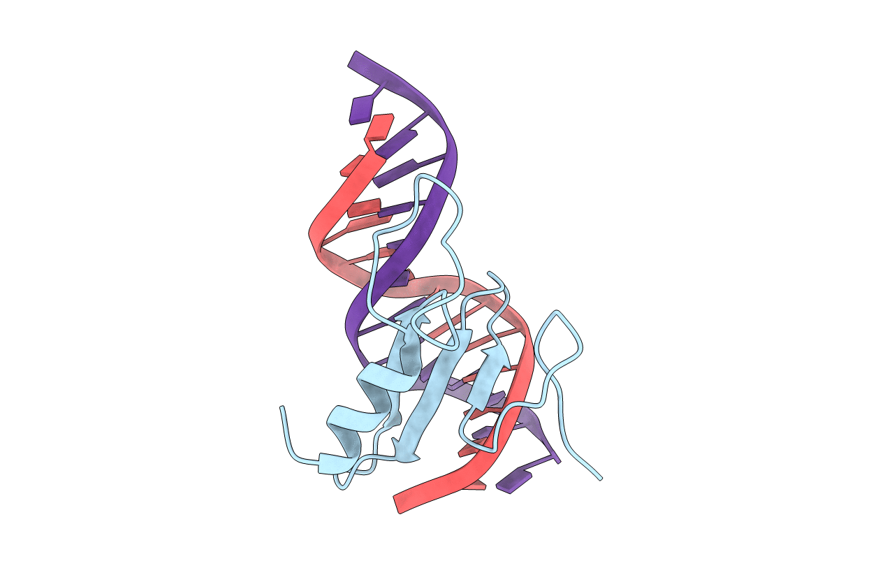 1B69 image