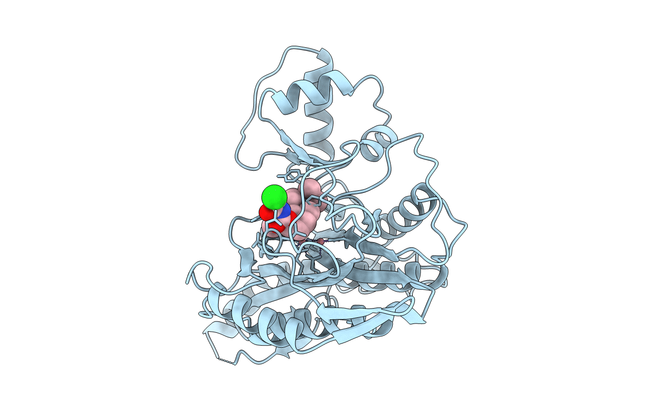 1B6A image