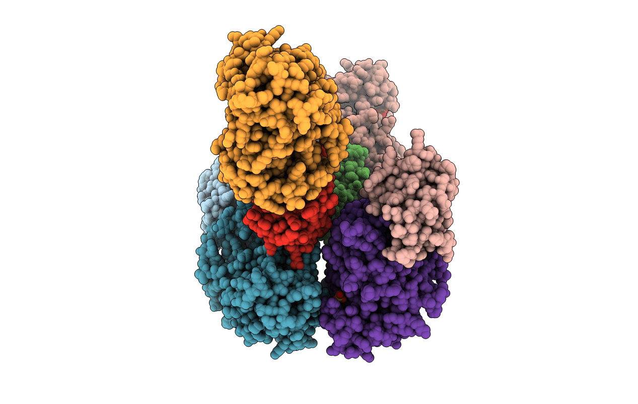 1B6C image