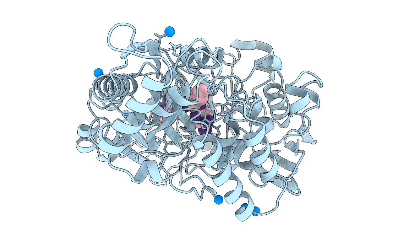 1B6H image