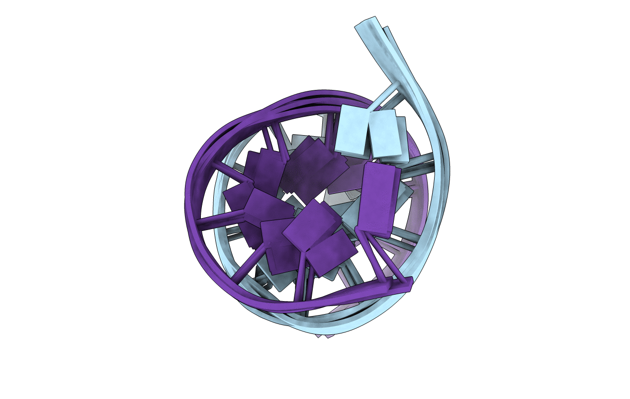 1B6X image