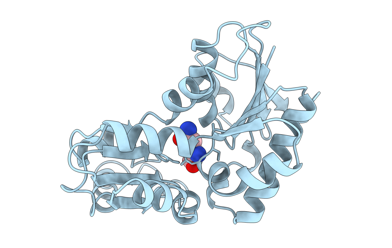 1B74 image