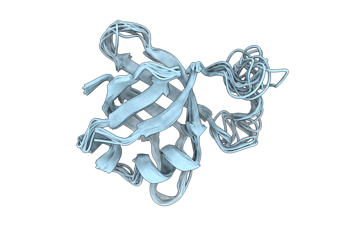 1B75 image