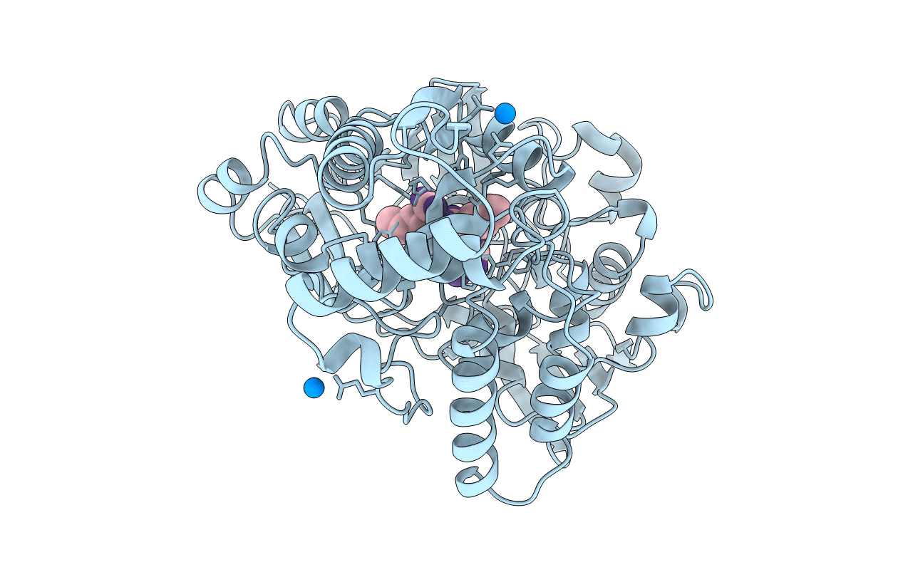 1B7H image