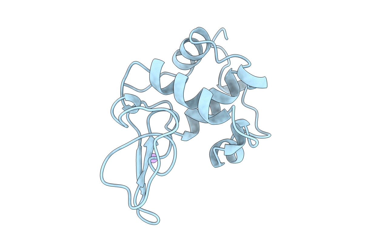 1B7S image