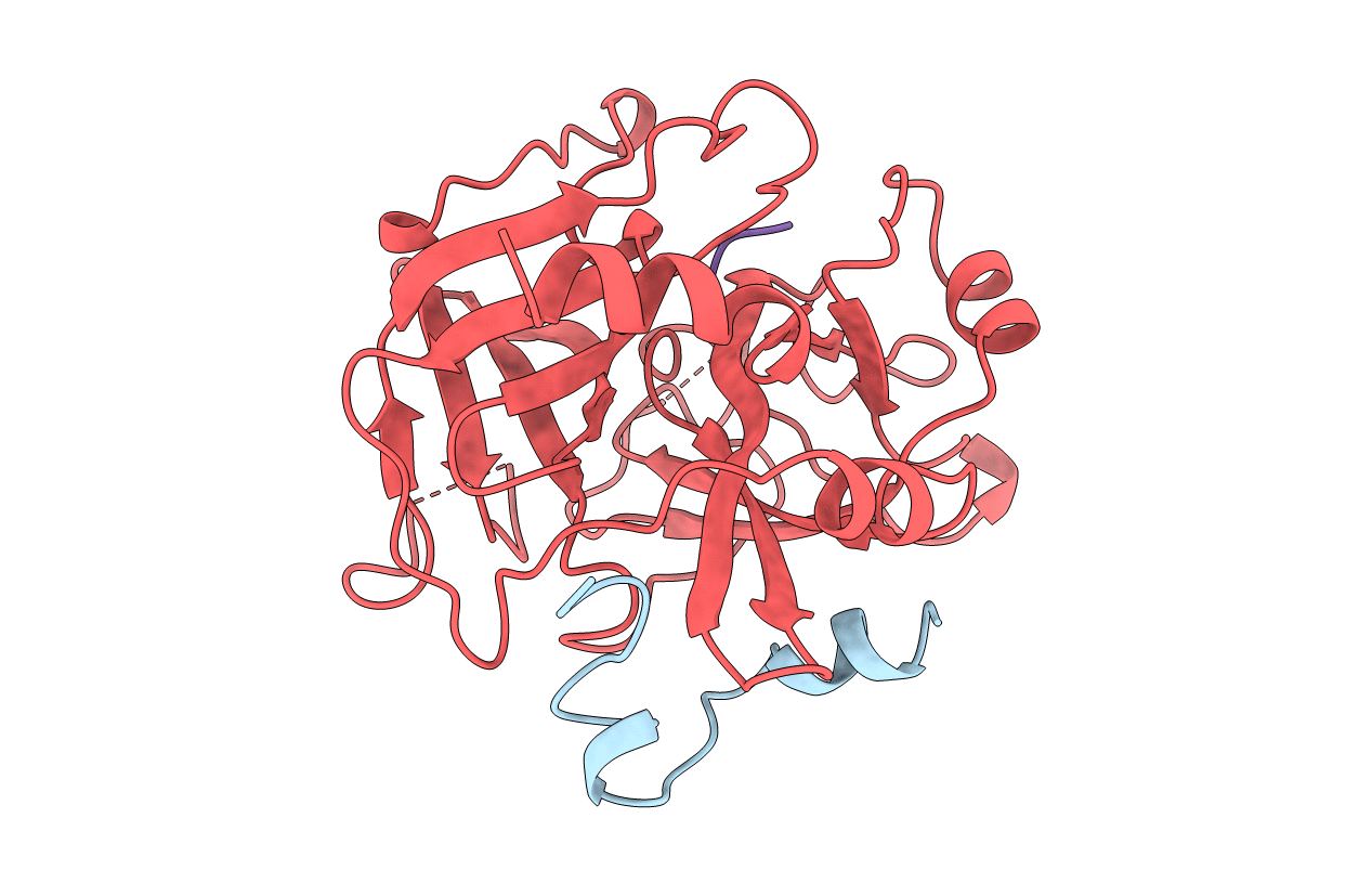 1B7X image