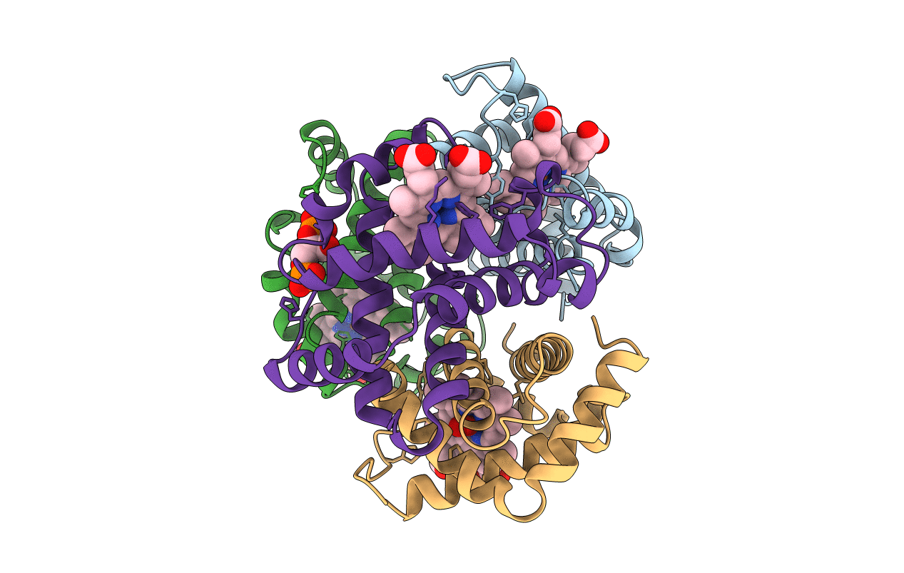 1B86 image