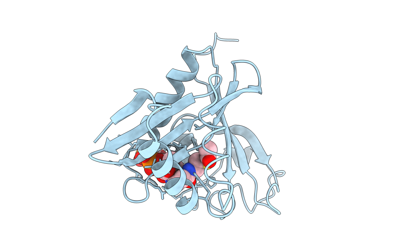 1B87 image