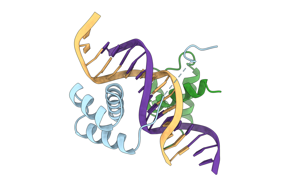 1B8I image
