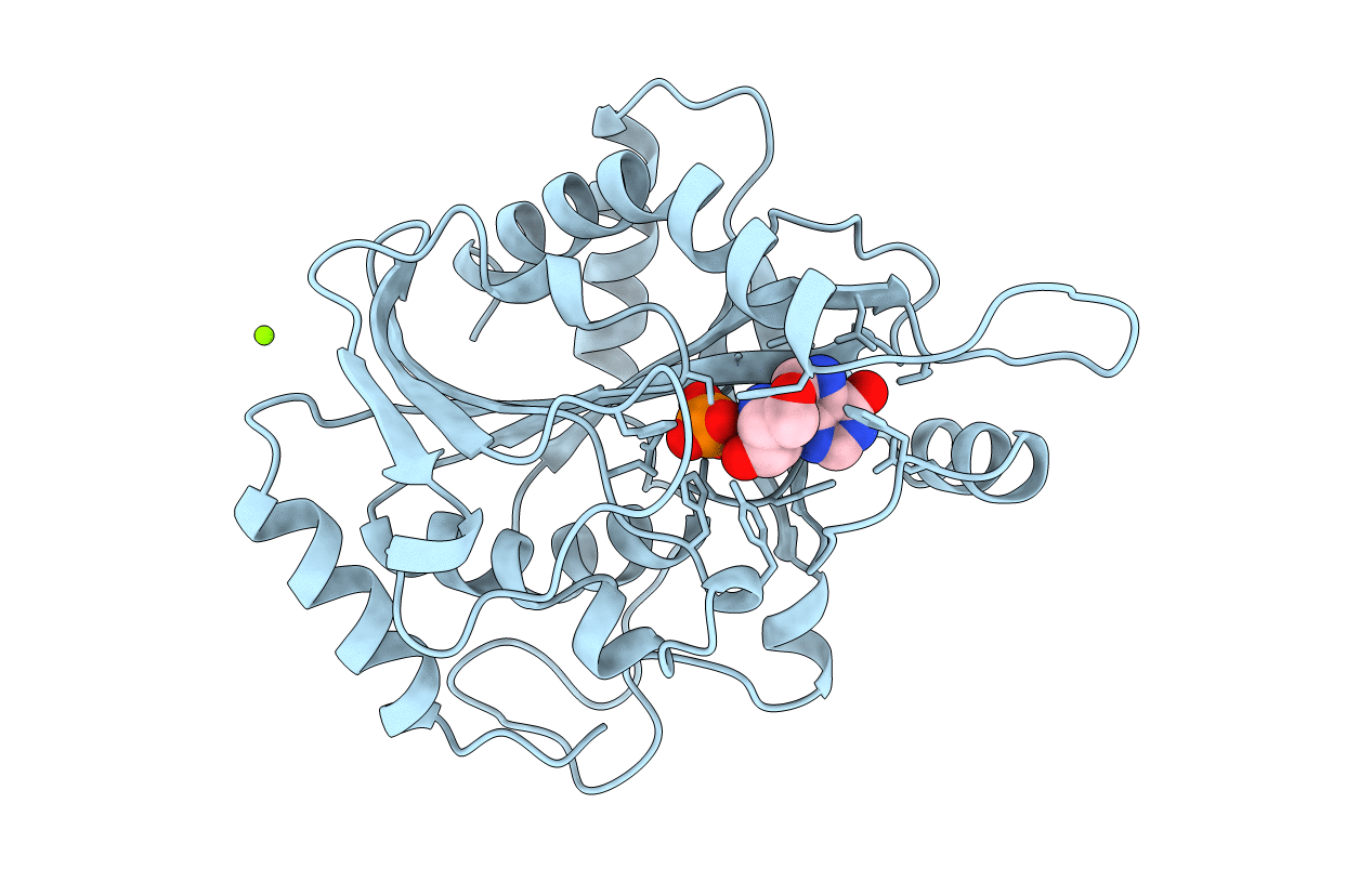 1B8O image