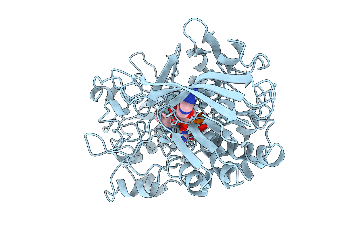 1B8S image