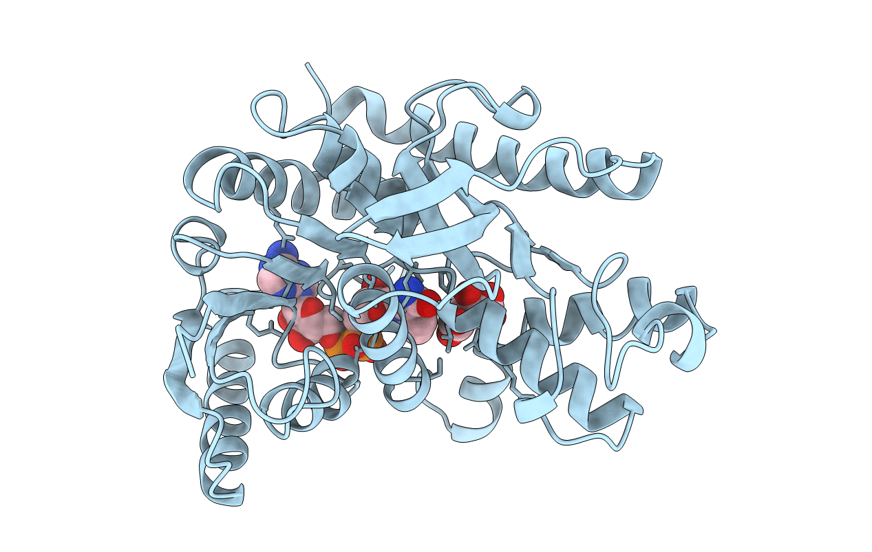 1B8U image