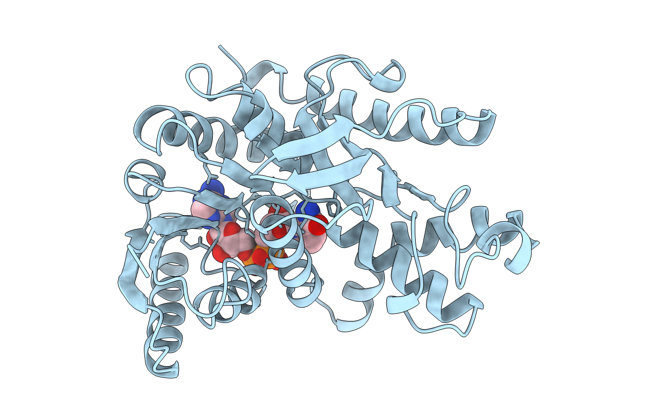 1B8V image