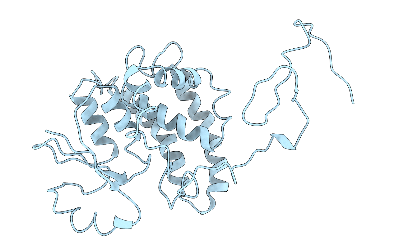 1B8X image