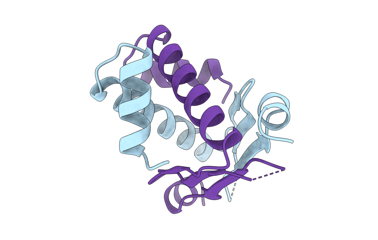 1B8Z image