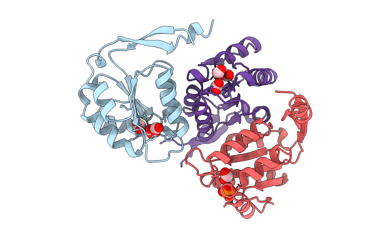 1B93 image