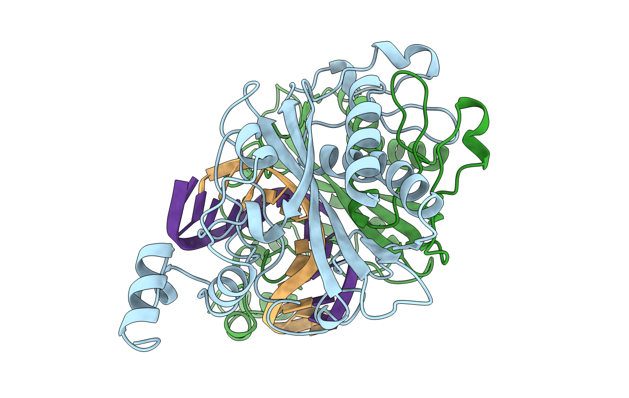 1B96 image