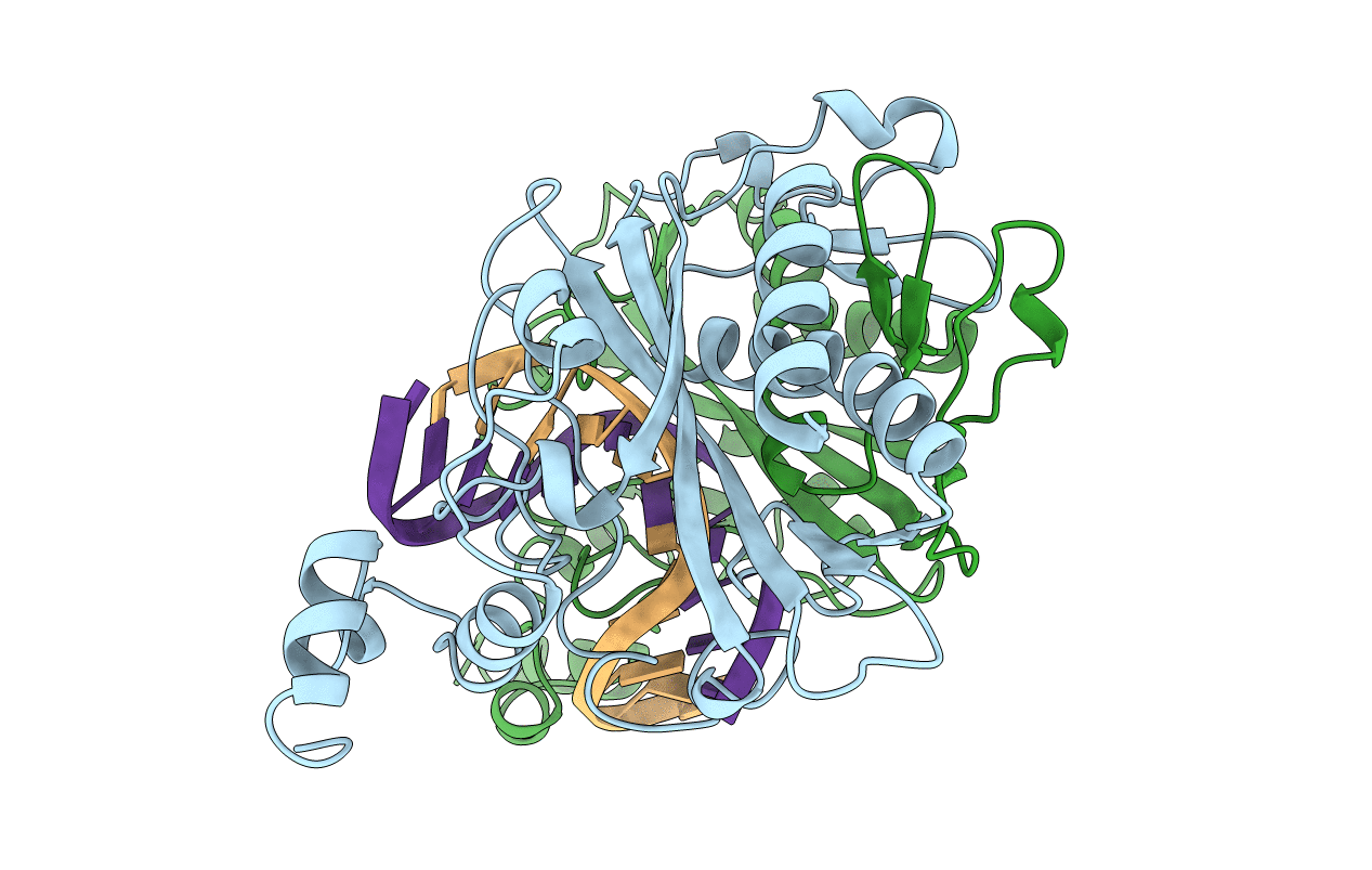 1B97 image