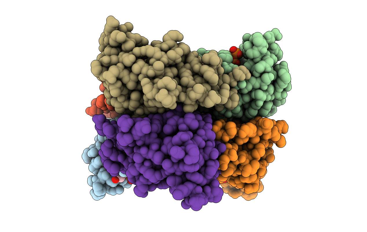 1B99 image