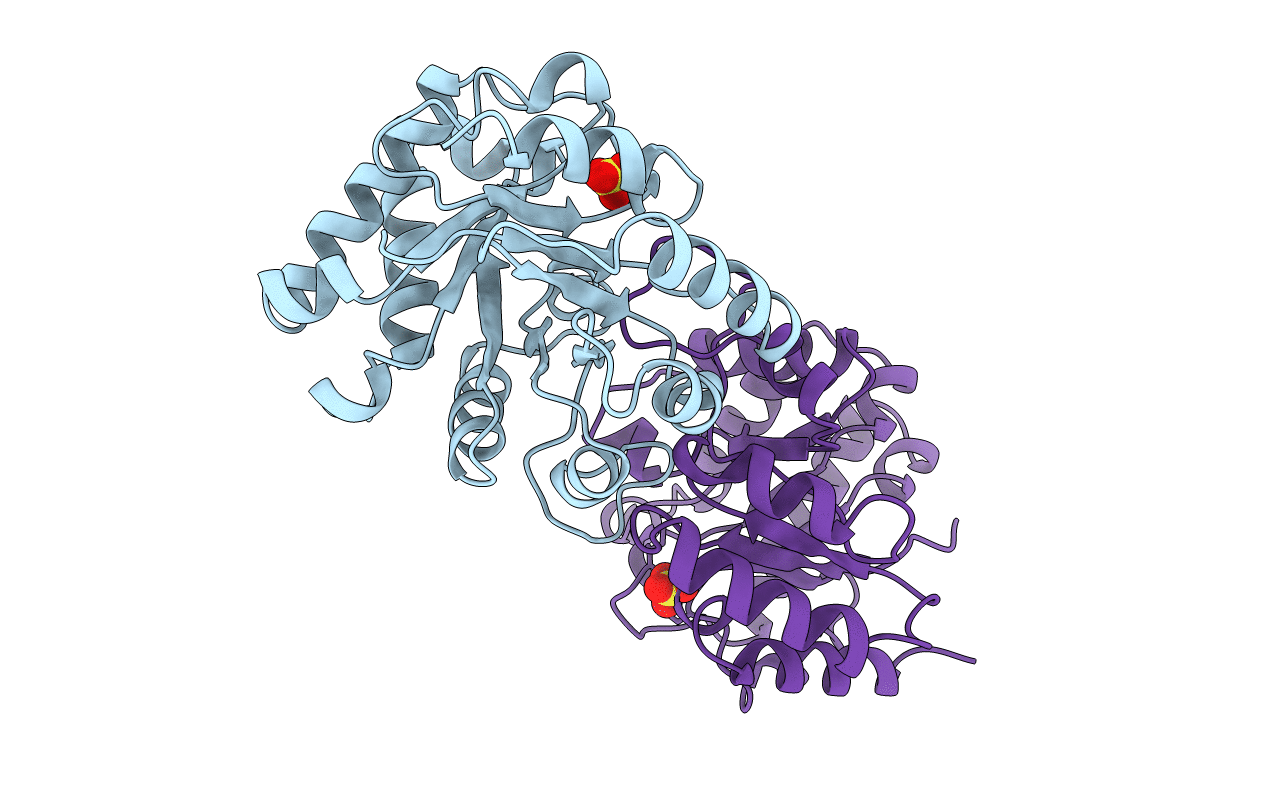 1B9B image