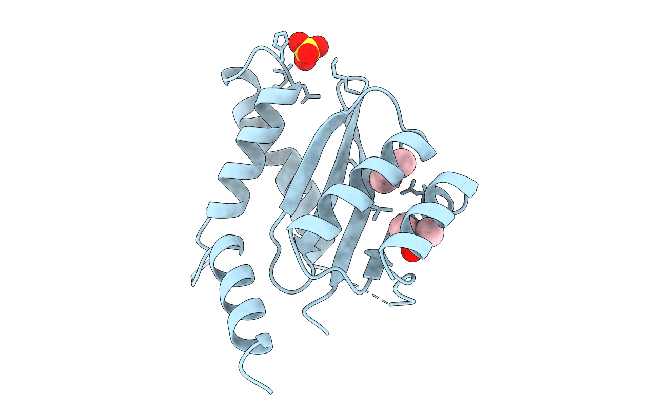 1B9D image