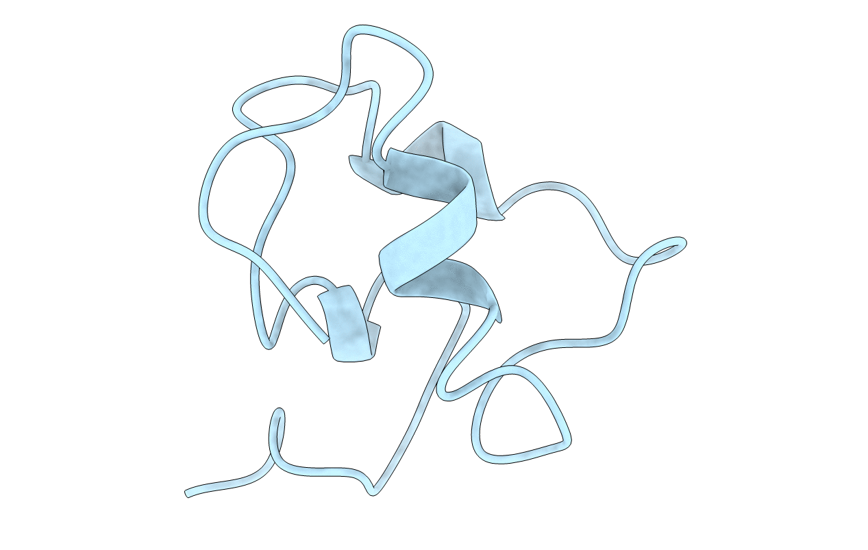 1B9G image