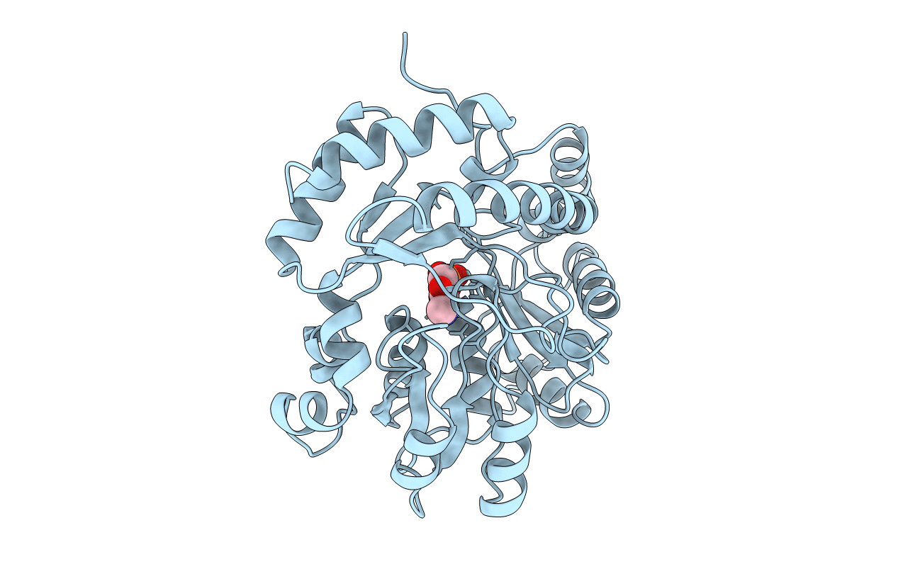1B9H image