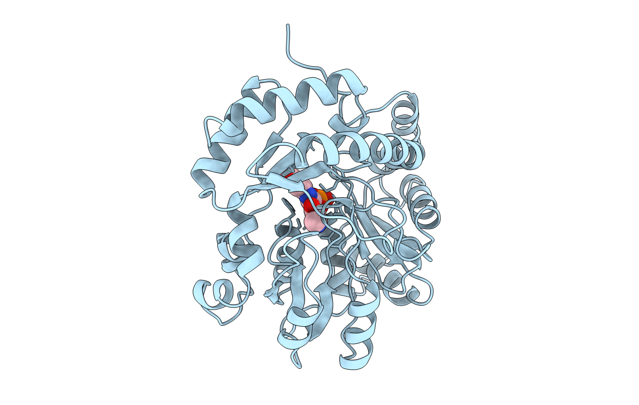 1B9I image