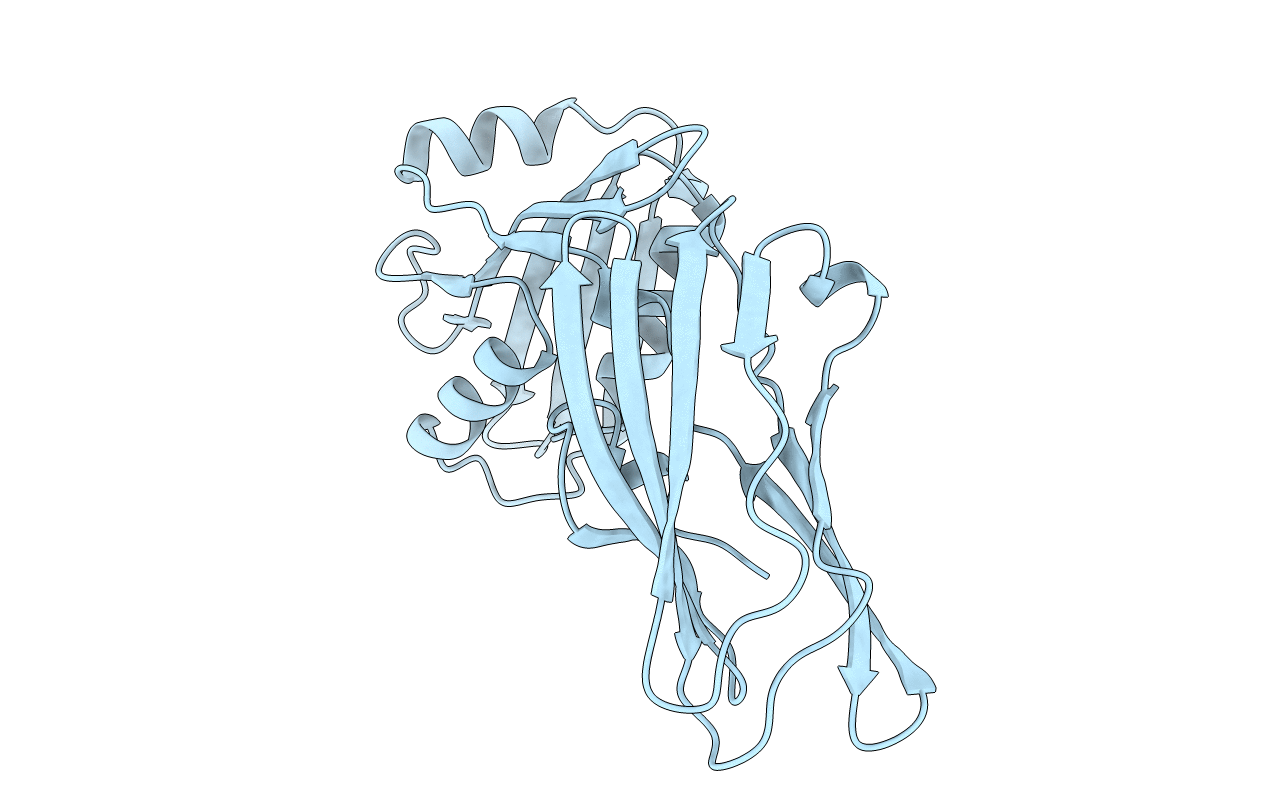 1B9K image
