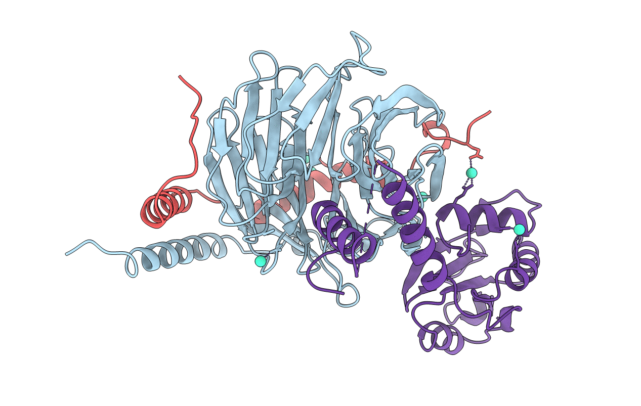 1B9X image