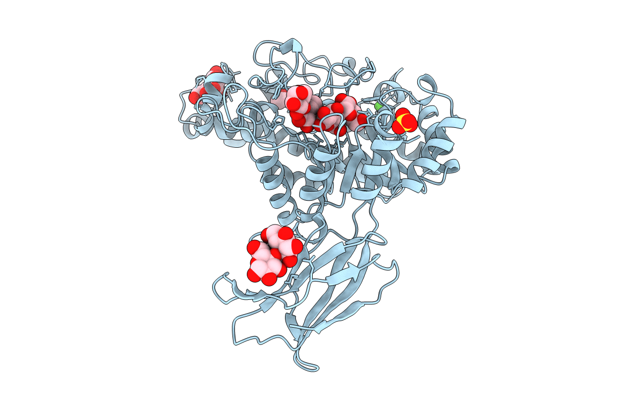 1B9Z image