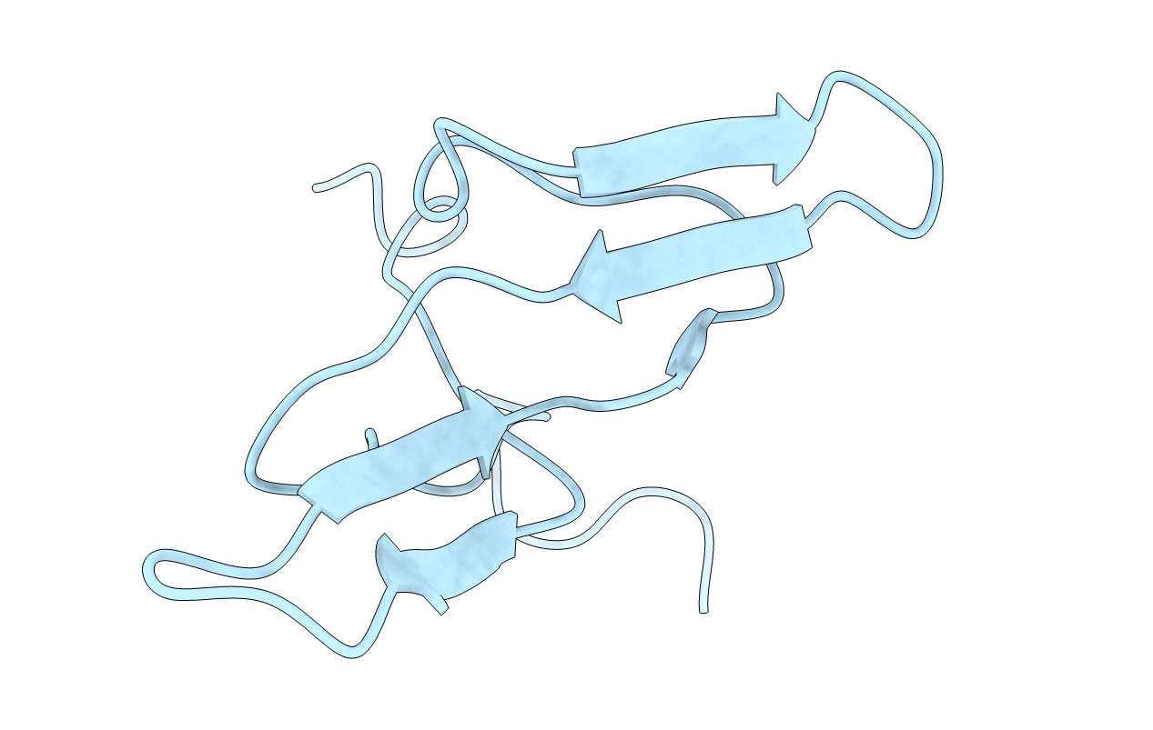 1BBI image