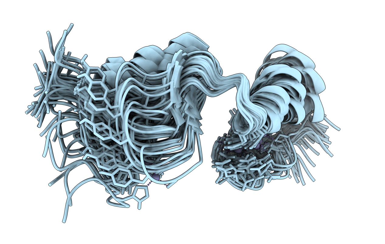 1BBO image