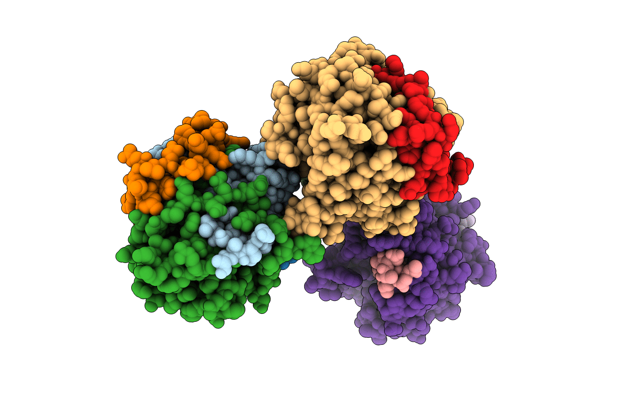 1BBR image