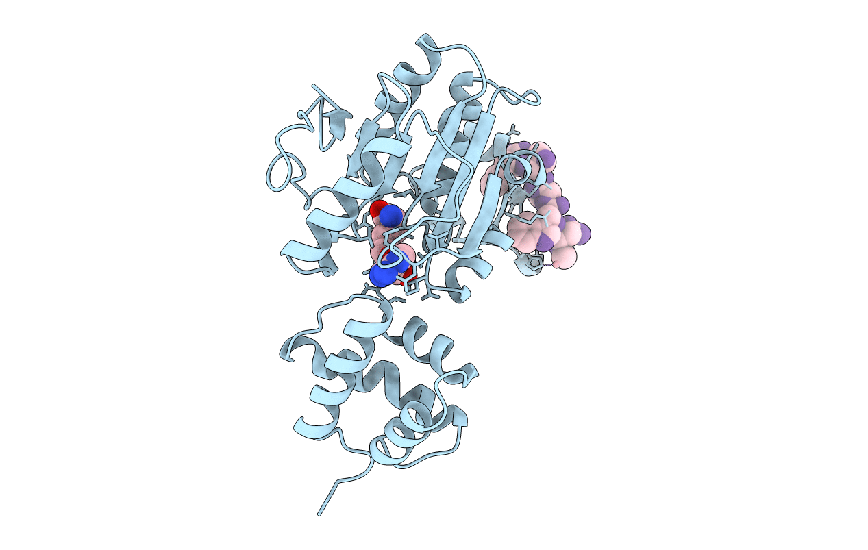 1BC5 image