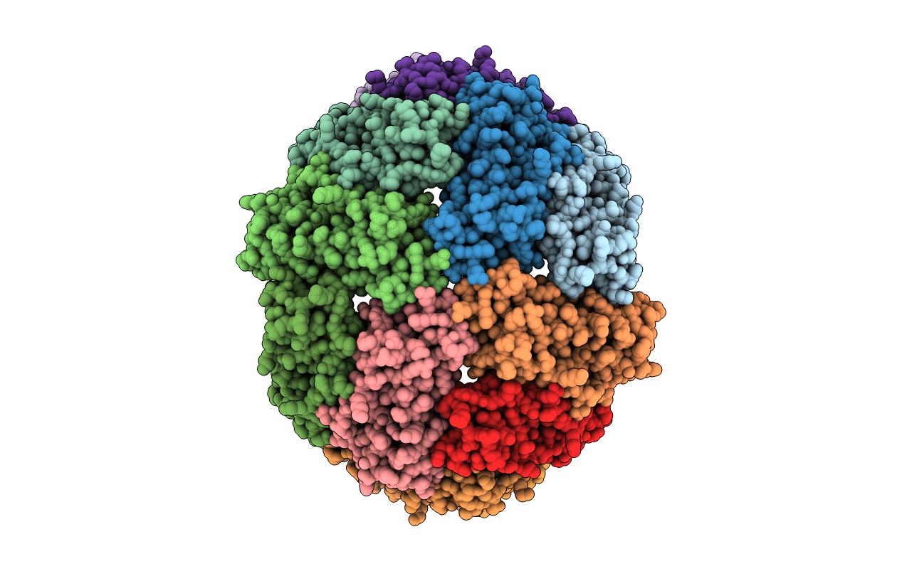 1BCF image