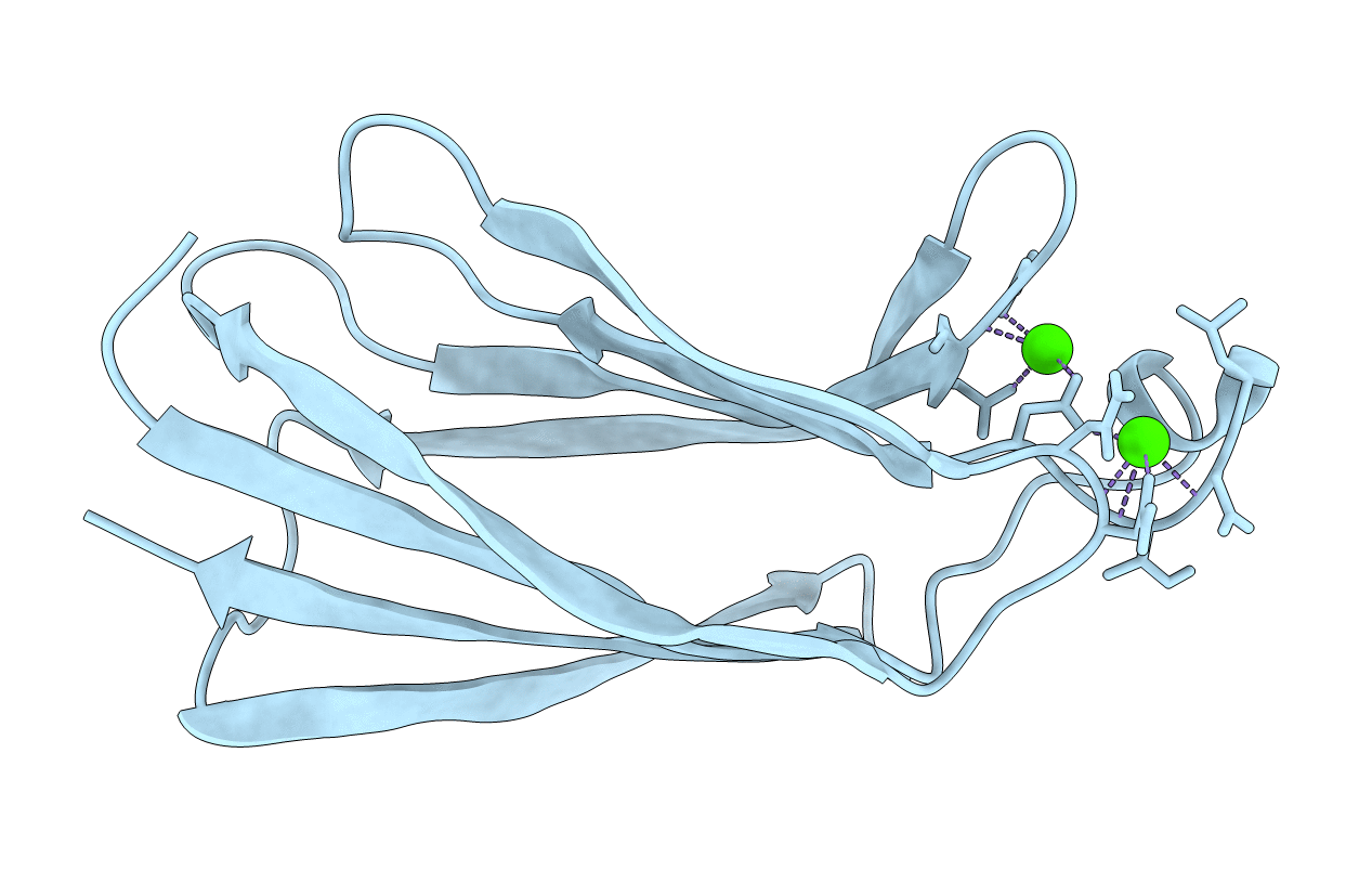1BCI image