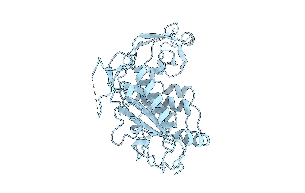 1BCO image