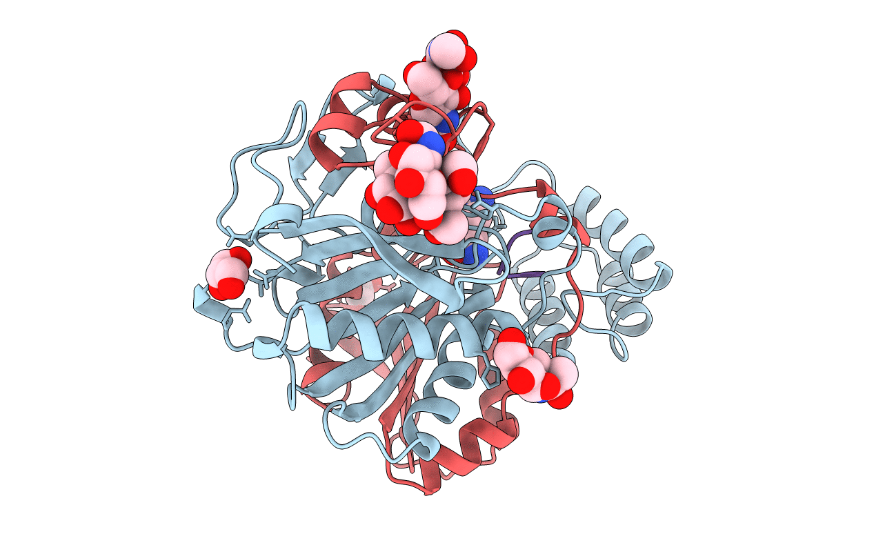 1BCS image